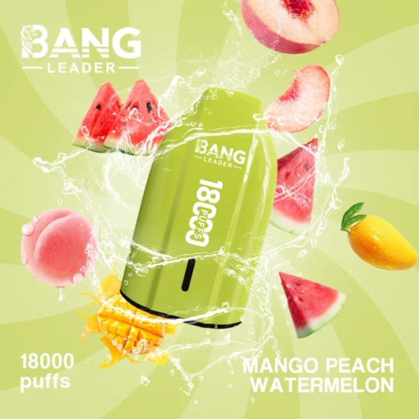 Bang Ledaer 18000 Puffs Sigaretta Elettronica Monouso Prezzo Economico allIngrosso 18k Spedizione Gratuita