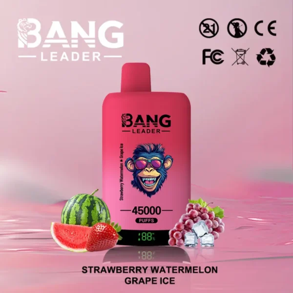 EU Puff Bang Leader 45k Tiri 2 in 1 Due Gusti Vape Usa e Getta Consegna Veloce