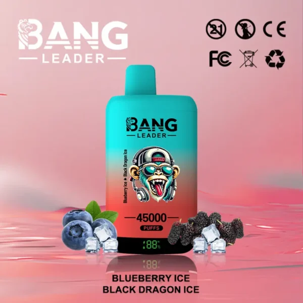 EU Puff Bang Leader 45k Tiri 2 in 1 Due Gusti Vape Usa e Getta Consegna Veloce