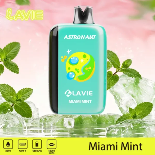 Lavie Astronaut 45K Puffs 45000 Migliore Sigaretta Elettronica Usa E Getta Vendita All Ingrosso Spedizione Gratuita 14 Lavie Astronaut 45k Puffs 45000 Best Disposable Vape Wholesale Free Shipping